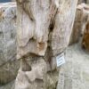 Grafsteen versteend hout 37083