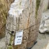 Grafsteen versteend hout 37388