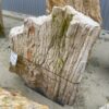 Grafsteen versteend hout 37388