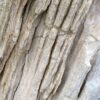 Grafsteen versteend hout 37388