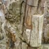 Grafsteen versteend hout 46125