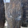 Grafsteen versteend hout 50266