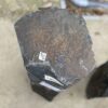 Grafsteen versteend hout 50271