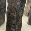 Grafsteen versteend hout 50271