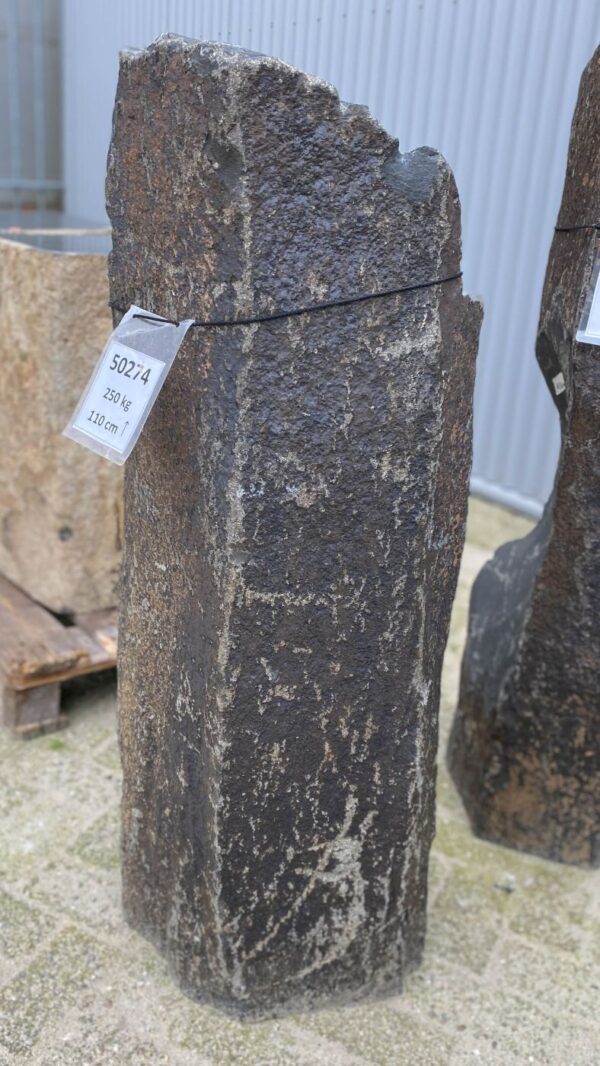 Grafsteen versteend hout 50274
