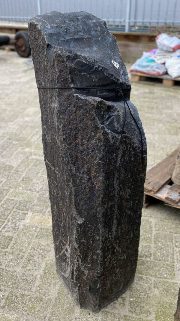 Grafsteen versteend hout 50274