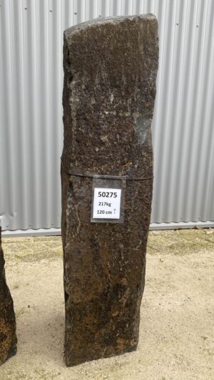 Grafsteen versteend hout 50275