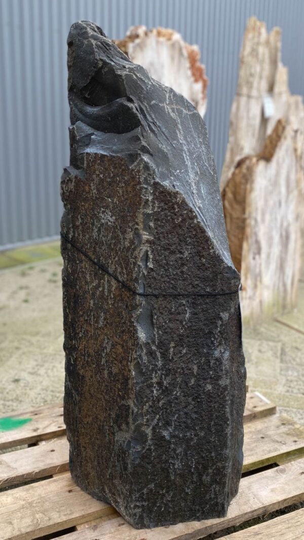 Grafsteen versteend hout 50277