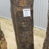 Grafsteen versteend hout 50279