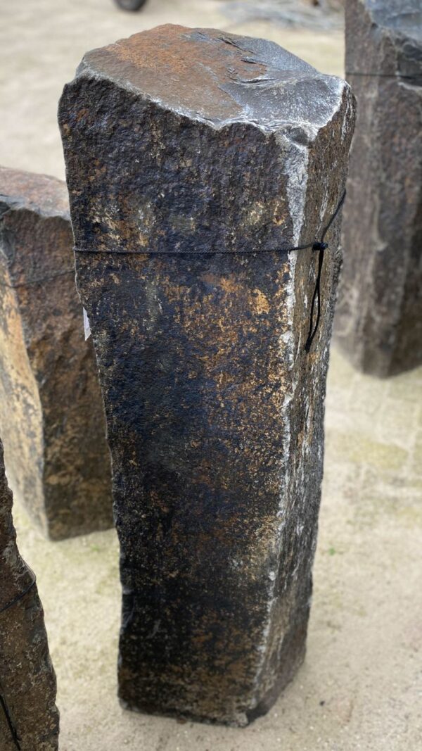 Grafsteen versteend hout 50279