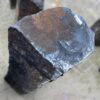 Grafsteen versteend hout 50279