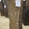 Grafsteen versteend hout 50280