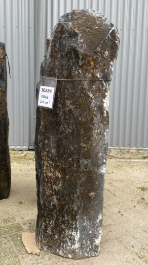 Grafsteen versteend hout 50284