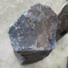 Grafsteen versteend hout 50284