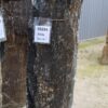Grafsteen versteend hout 50284
