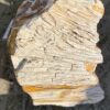 Grafsteen versteend hout 51120