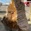 Grafsteen versteend hout 51120