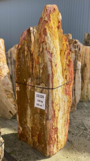 Grafsteen versteend hout 51126