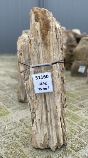 Grafsteen versteend hout 51160