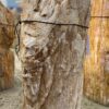Grafsteen versteend hout 51170