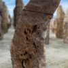 Grafsteen versteend hout 51333