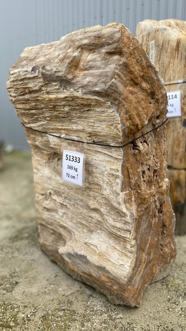 Grafsteen versteend hout 51333