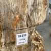 Grafsteen versteend hout 51335