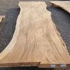 Boomstamtafel suar 28501