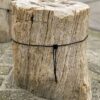 Lápida madera petrificada 34093