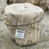 Lápida madera petrificada 34099