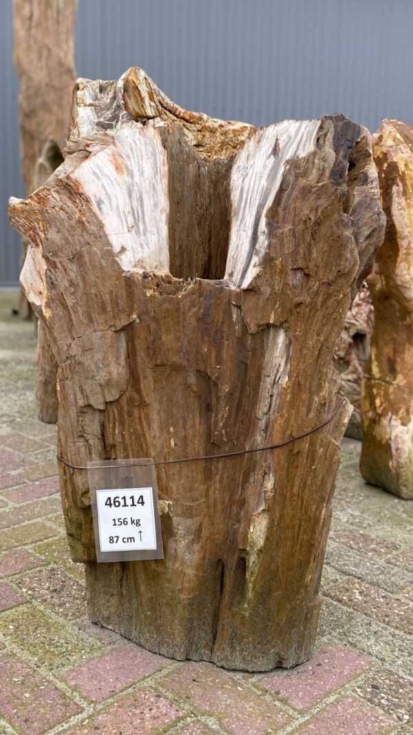 Lápida madera petrificada 46114