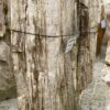 Lápida madera petrificada 47054