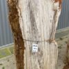 Lápida madera petrificada 48110