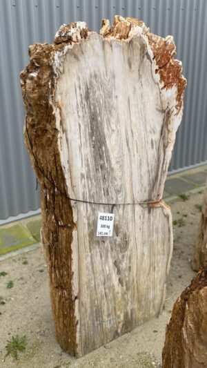 Lápida madera petrificada 48110