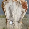 Lápida madera petrificada 48110