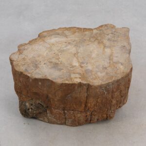 Lápida madera petrificada 50115