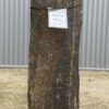 Lápida madera petrificada 50274