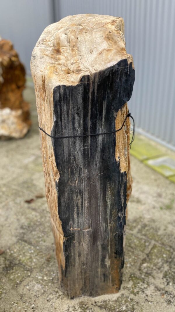 Lápida madera petrificada 51114