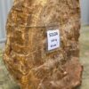 Lápida madera petrificada 51124