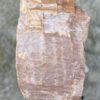 Lápida madera petrificada 51124