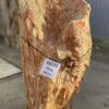 Lápida madera petrificada 51125