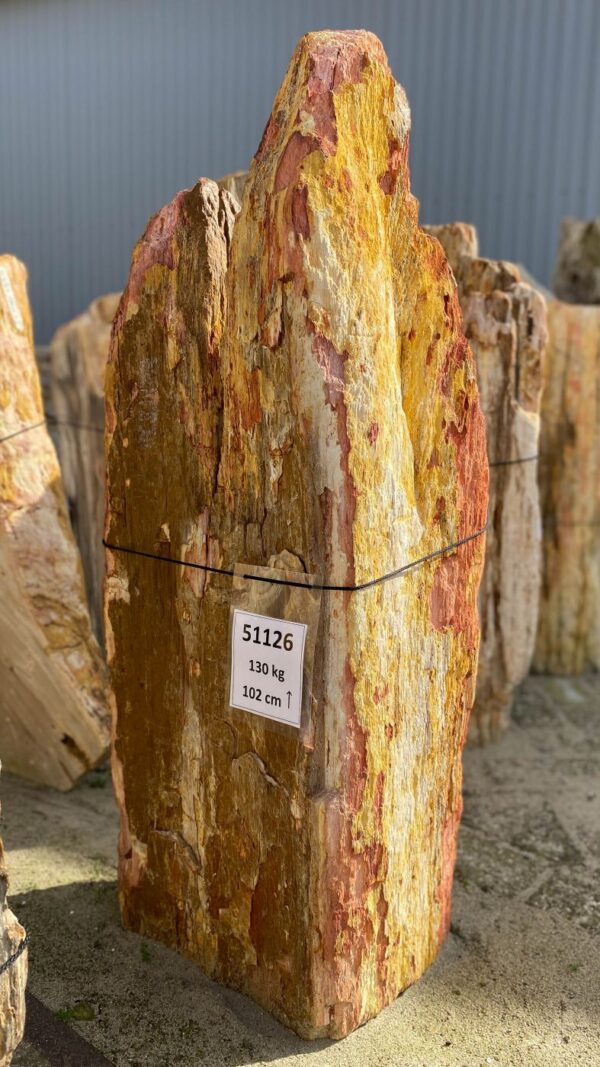Lápida madera petrificada 51126