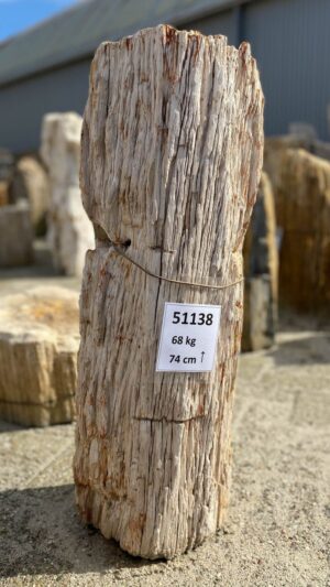 Lápida madera petrificada 51138