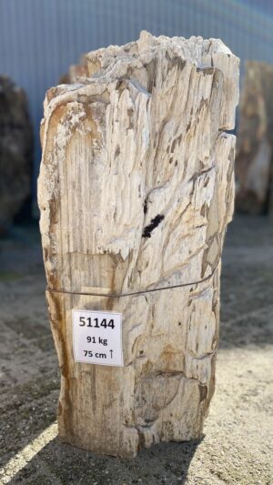 Lápida madera petrificada 51144