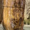 Lápida madera petrificada 51171