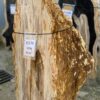 Lápida madera petrificada 51174