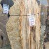 Lápida madera petrificada 51174