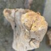 Lápida madera petrificada 51174