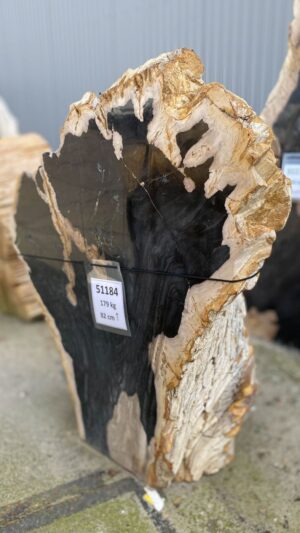 Lápida madera petrificada 51184