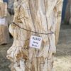 Lápida madera petrificada 51332